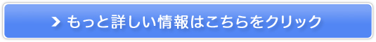 Y_I[Cety+ea isivXGACYjz̔TCg